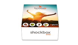 shockbox mini
